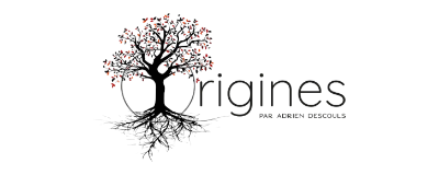 Hôtel Restaurant Origines