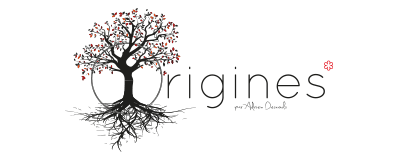 Hôtel Restaurant Origines