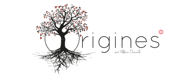 Hôtel Restaurant Origines